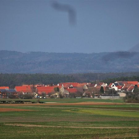 Ferien-Messe-Handwerkerwohnung-Haustiere Willkommen Lauf an der Pegnitz Eksteriør bilde